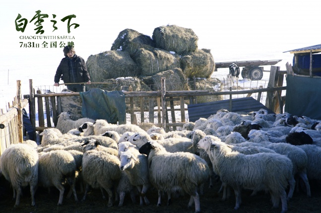 《白云之下》曝终极预告 7.31共赴银幕心灵之旅